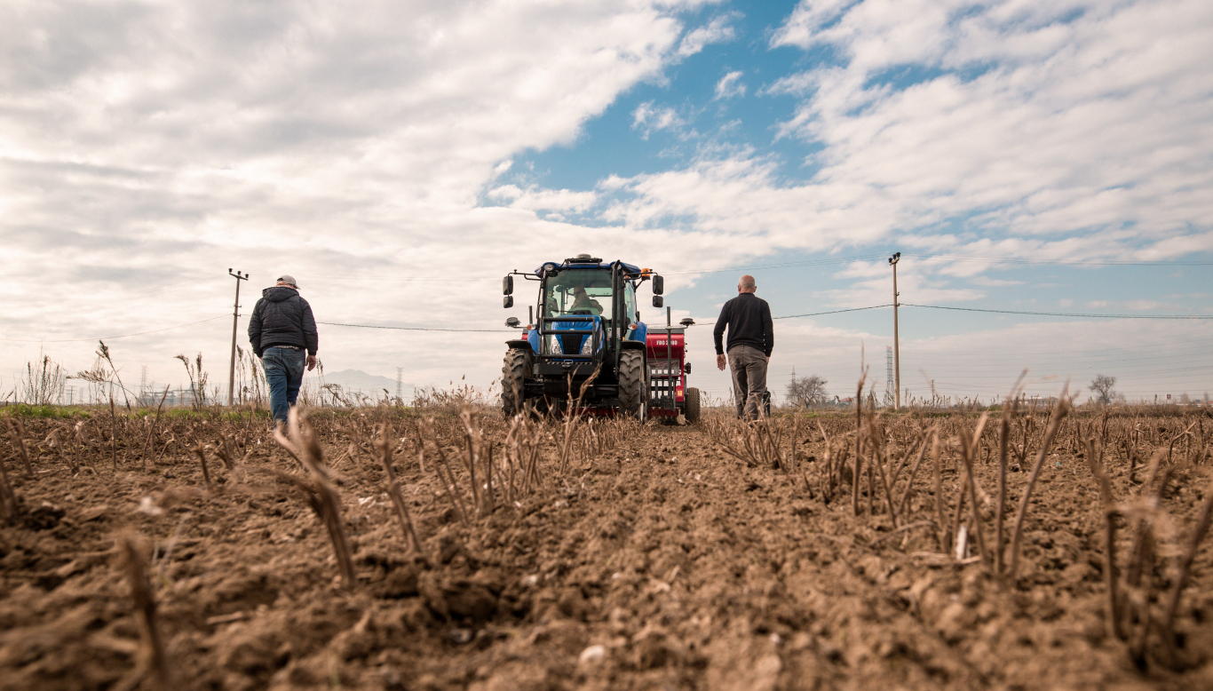 Planting five different species of cover crops to protect the soil